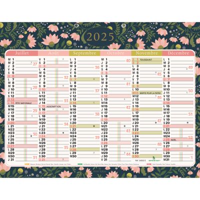 Calendrier Mini Labo - 6 mois par face - 43 x 33,5 cm - Exacompta