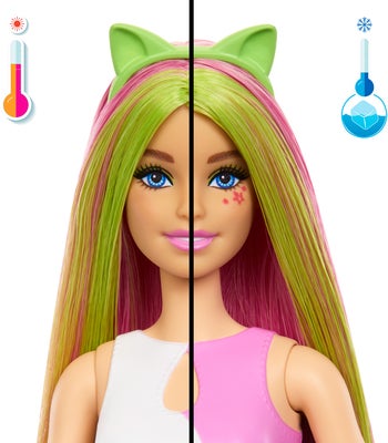 Barbie Motedukke