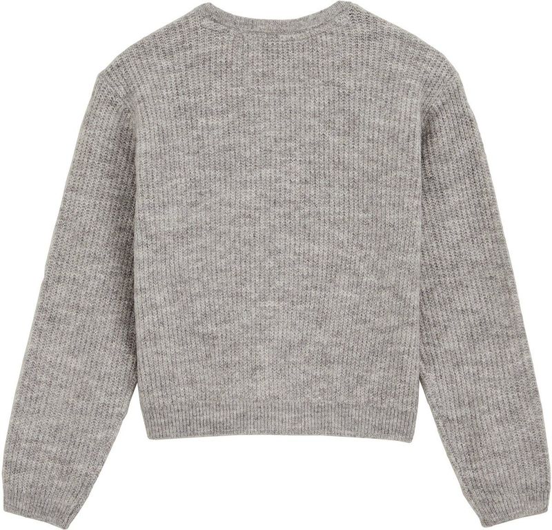 WE Fashion vest grijs melange gebreid