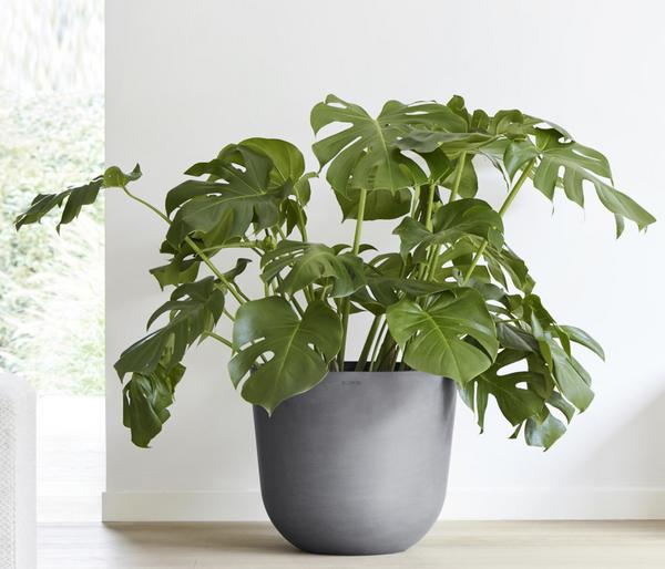 Ecopots Kunststoff-Topf Oslo mit Wassersystem,