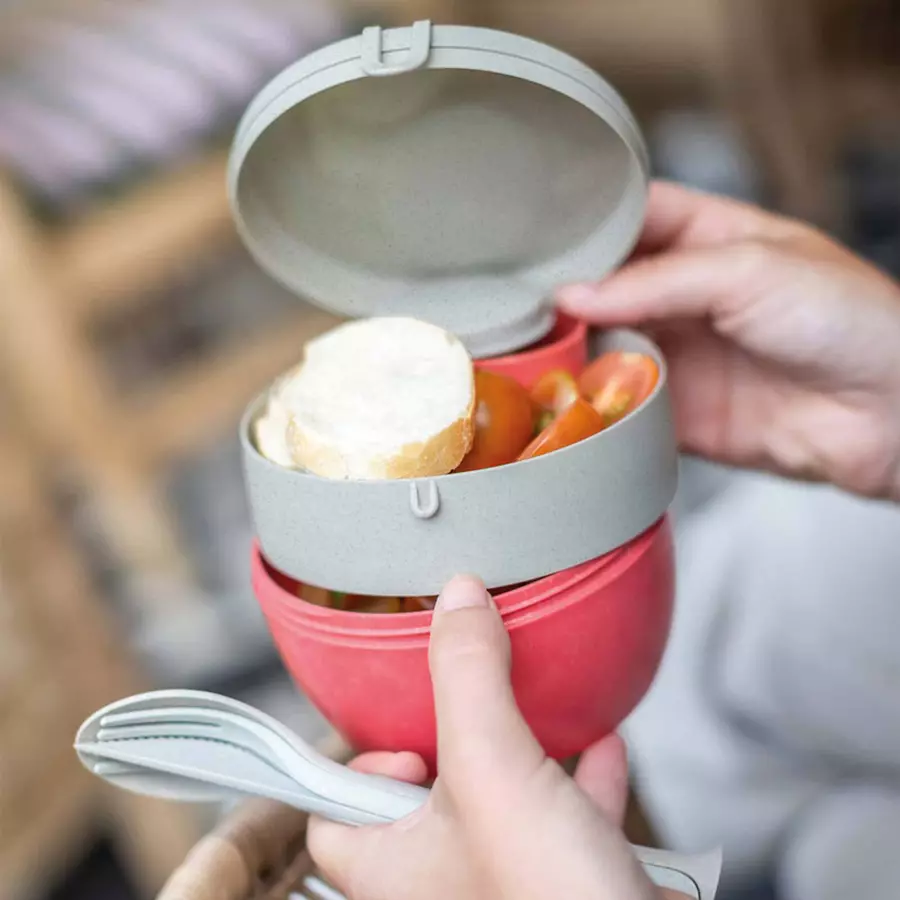 Koziol Bentobox rot
