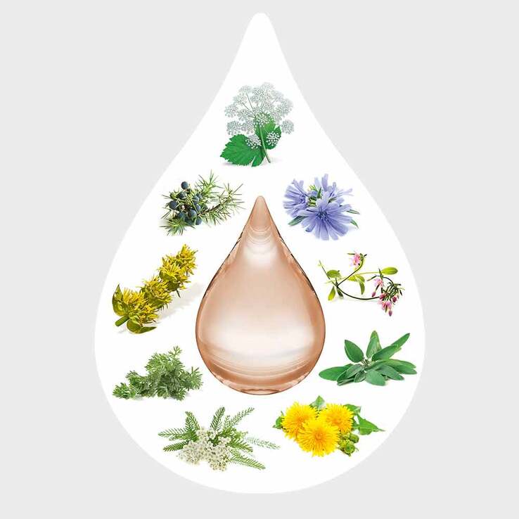 Amara-Tropfen Dilution, 20 ml