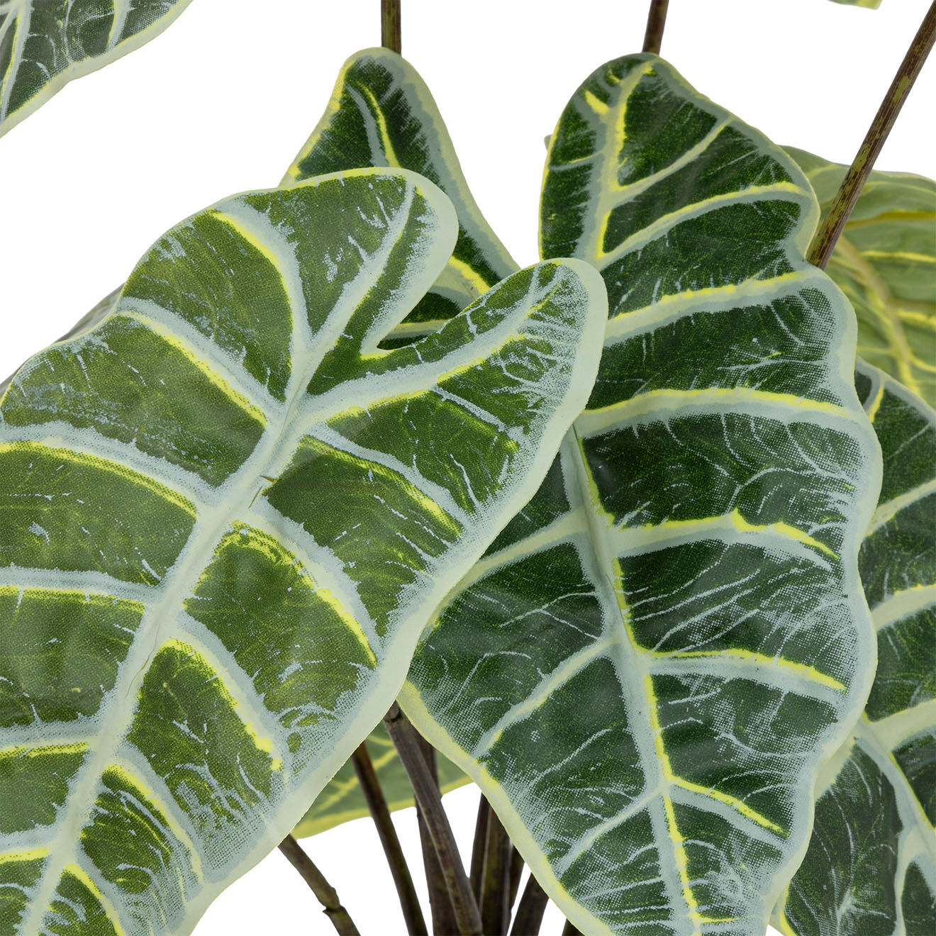 Atmosphera Alocasia artificiel vert - 28x28x43 cm