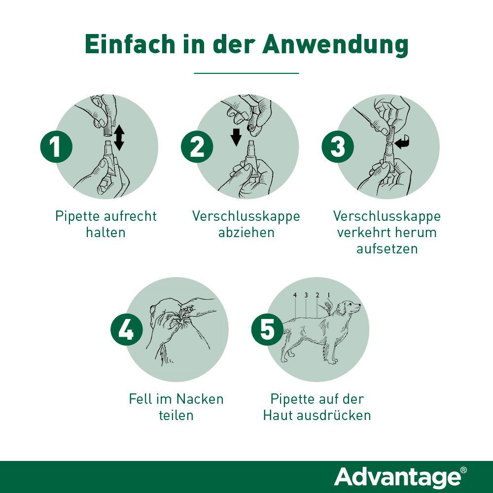 Advantage® 100 mg Spot-On für Hunde 4 - 10 kg