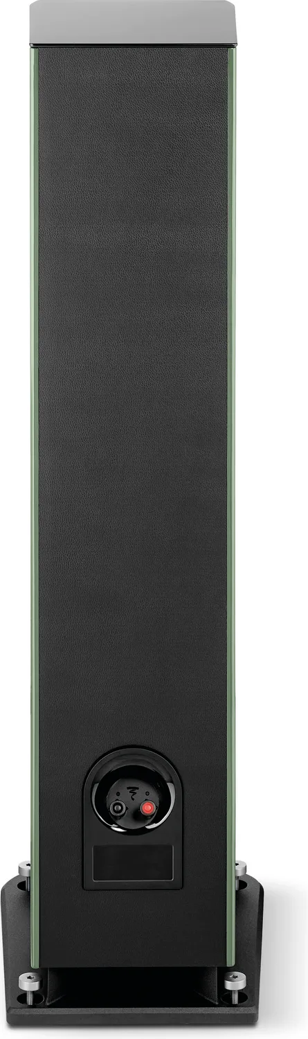 Focal Aria Evo X N°2 Vert (la paire) Enceintes colonne