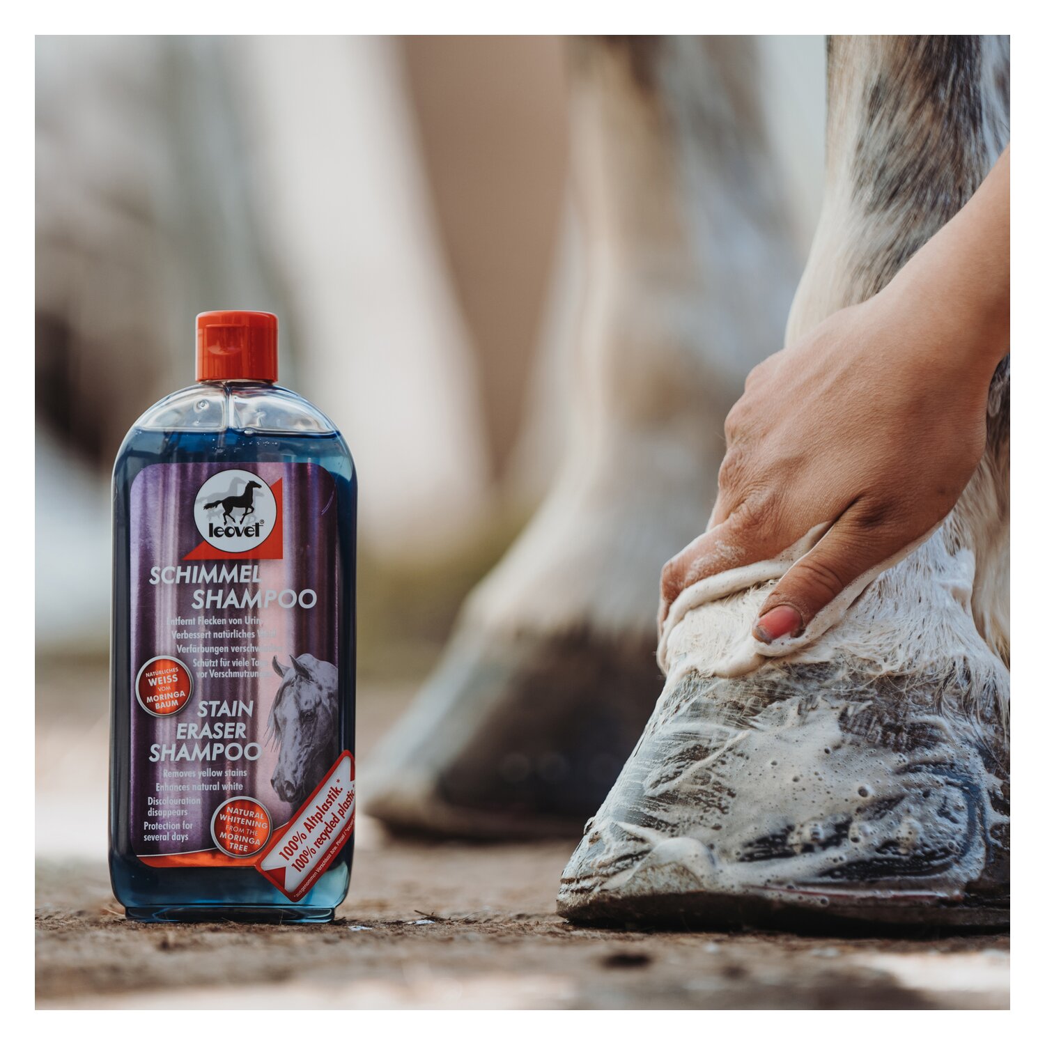 leovet Milton-Weiß Schimmel Shampoo  - 500 ml