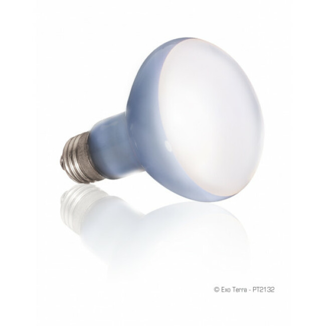 Ampoule Basking Spot Daylight lumière du jour Exo Terra