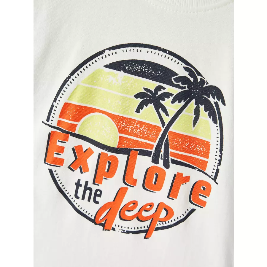 name it T-Shirt Nmmvagno White Alyssum