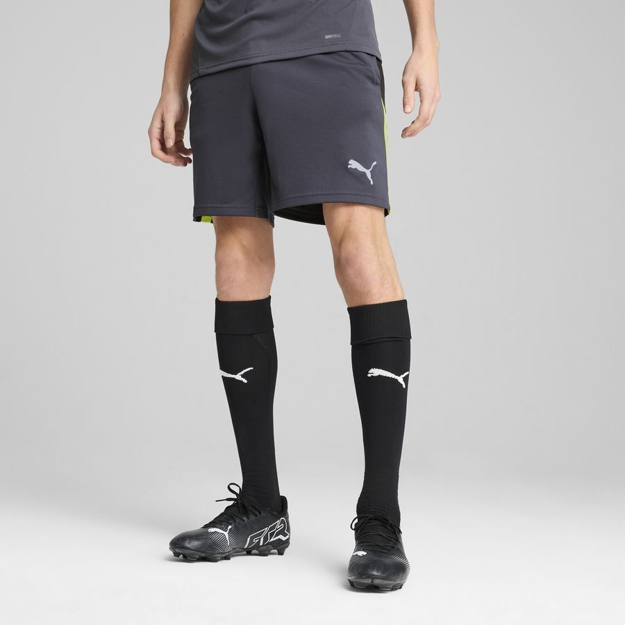 Puma individualLIGA Trainingsshorts