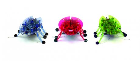 Hexbug Beetle