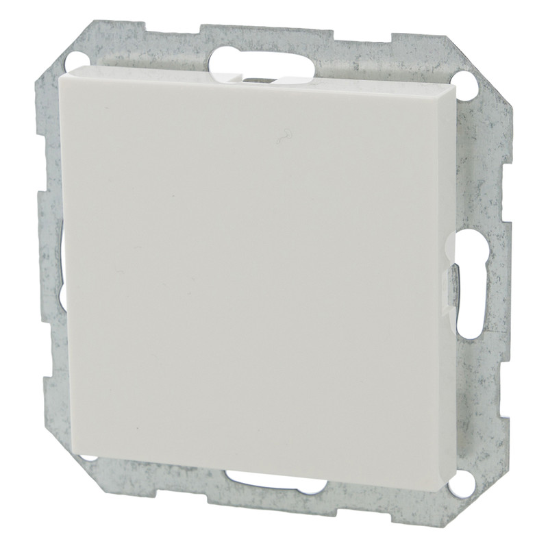 Gira System 55 blindplaat Glanzend wit