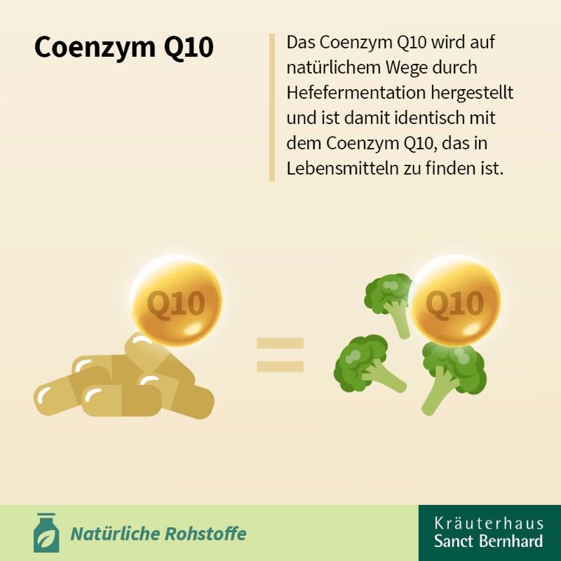 Sanct Bernhard Q10-Zellfit 100 mg Trinkfläschchen
