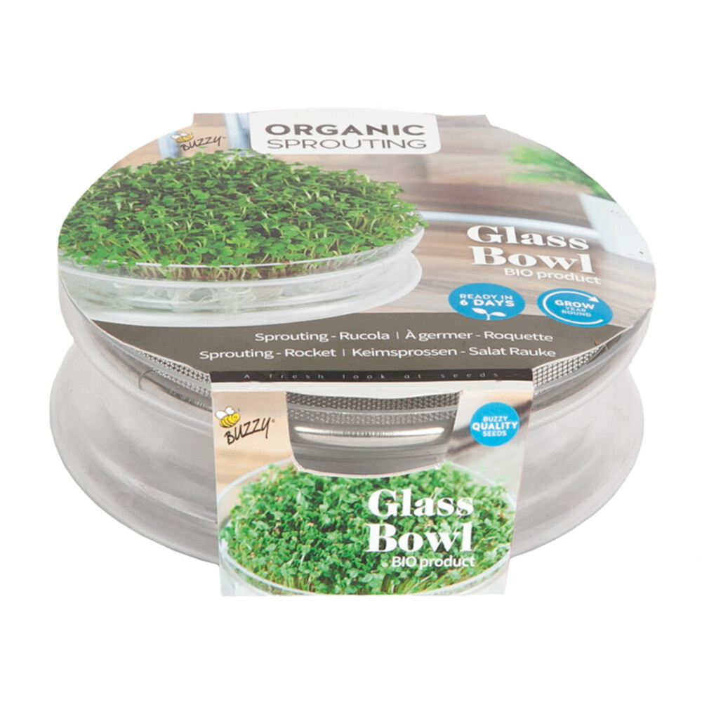 Buzzy Kweekset Glazen Bowl met Rucola Biologisch