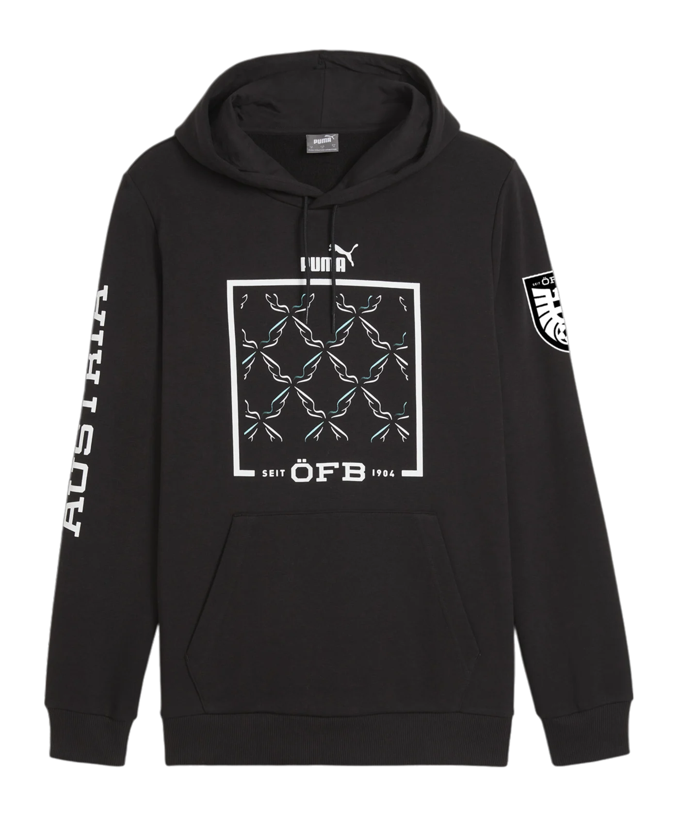 PUMA Österreich Ftbl Icons Hoody Schwarz F08