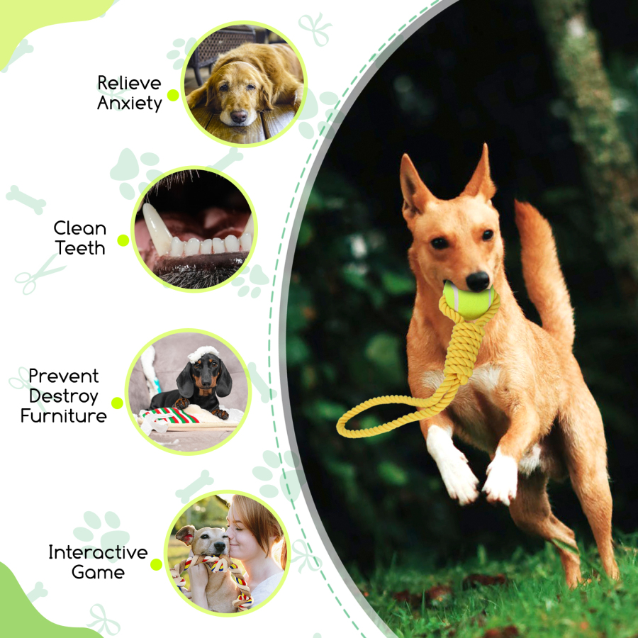 Nobleza - Corda de brinquedo para cães, 100% algodão, benéfica para a saúde mental, saúde dental e limpeza dos dentes do seu cão, 38 cm