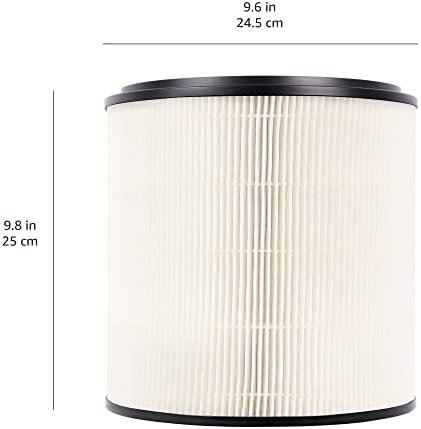 Amazon Basics   Purificateur d'air, Couvre jusqu'à 12 m², Filtres à air True HEPA et au charbon, CADR 100 m²/h, Élimine 99,97 % des allergènes (pollen, poussière, fumée), Prise européenne, Blanc : Cuisine et Maison