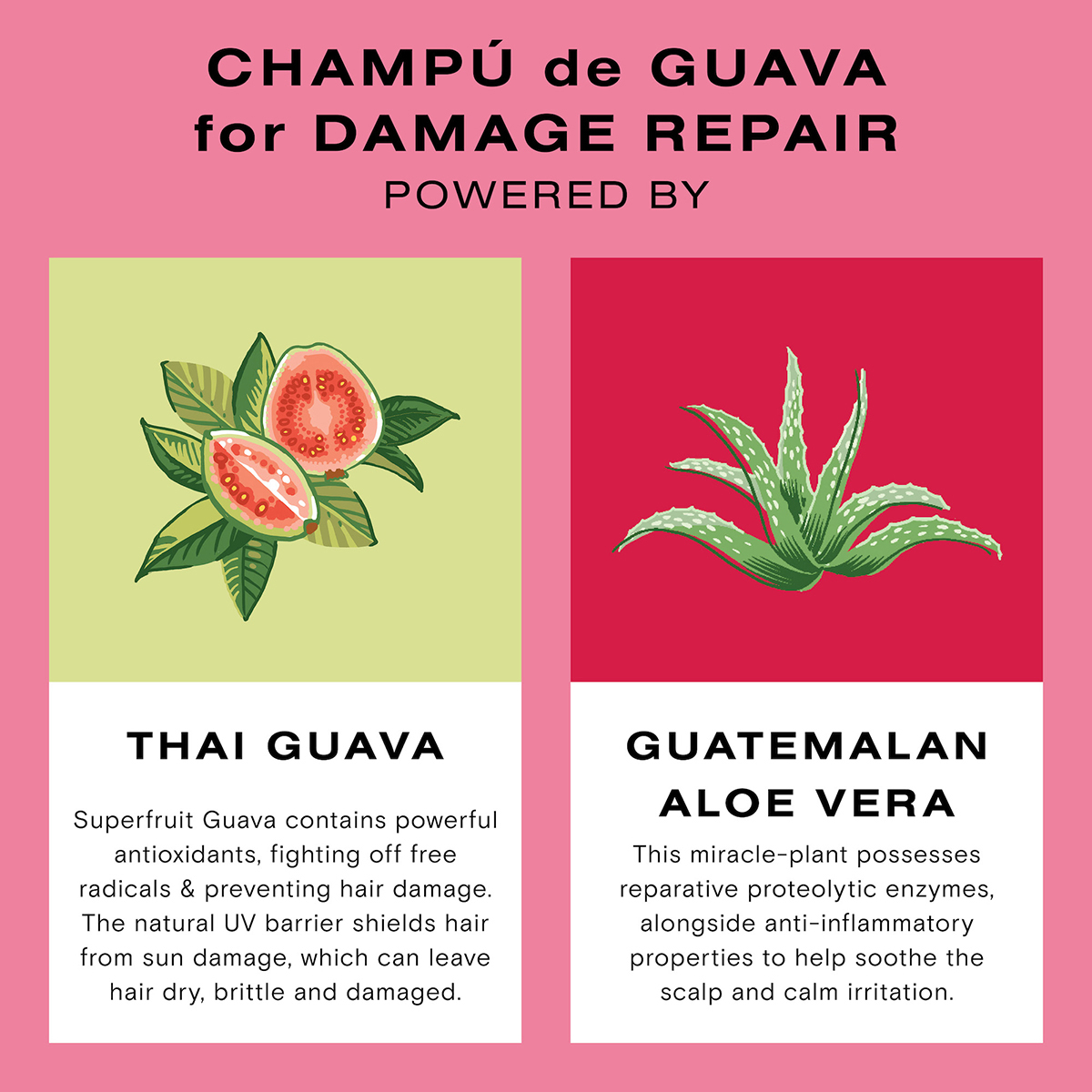 Guava Protect & Repair Shampoo 250ml