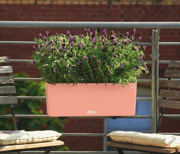 LECHUZA® Kunststoff-Kasten Balconera Color,