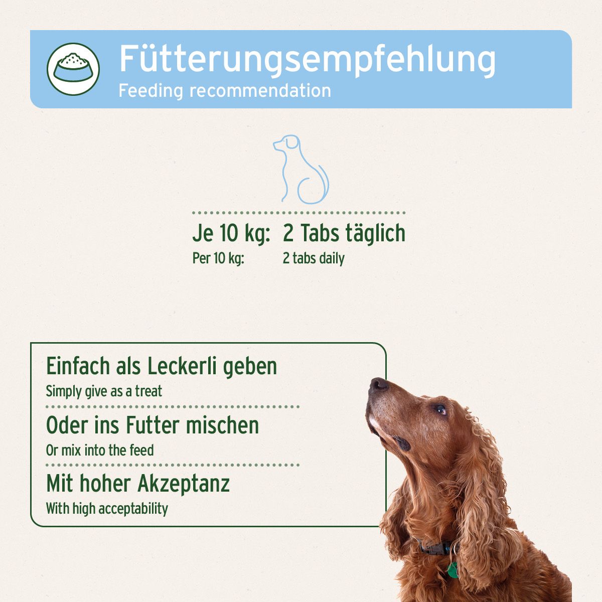 AniForte Bierhefe Tabs