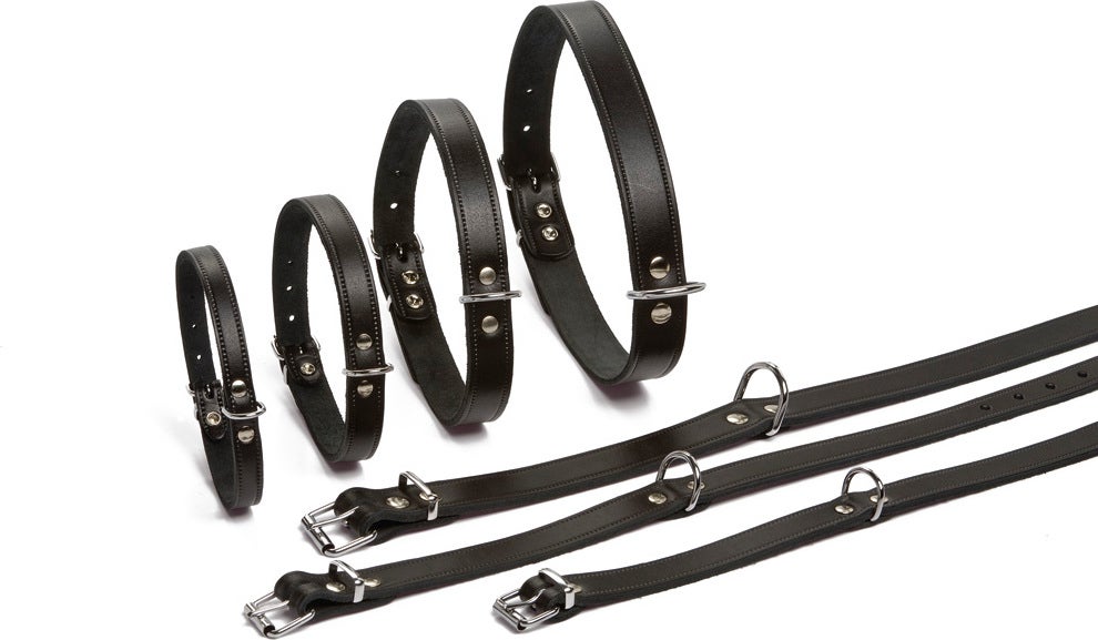 Beeztees hondenhalsband L zwart 32 cm