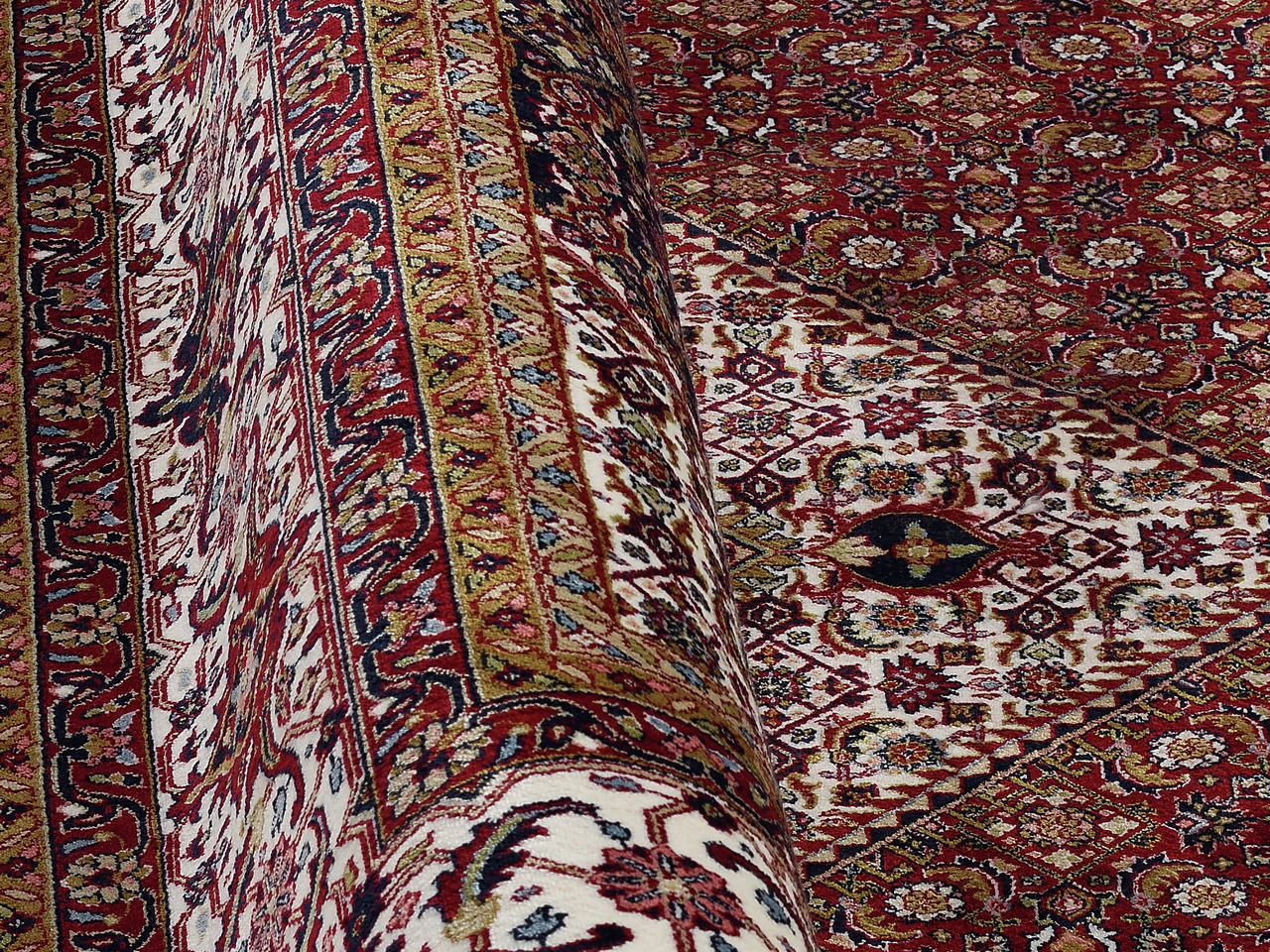 OCI Orient Teppich CENTAURI BIDJAR
