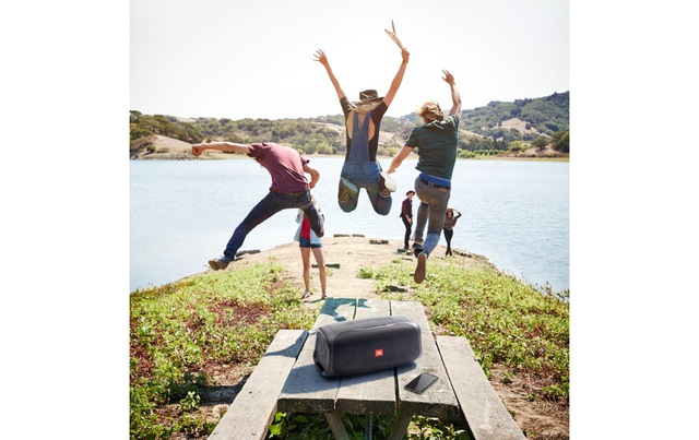 JBL Bluetooth-Speaker »Bass Pro Go Schwarz« ( )