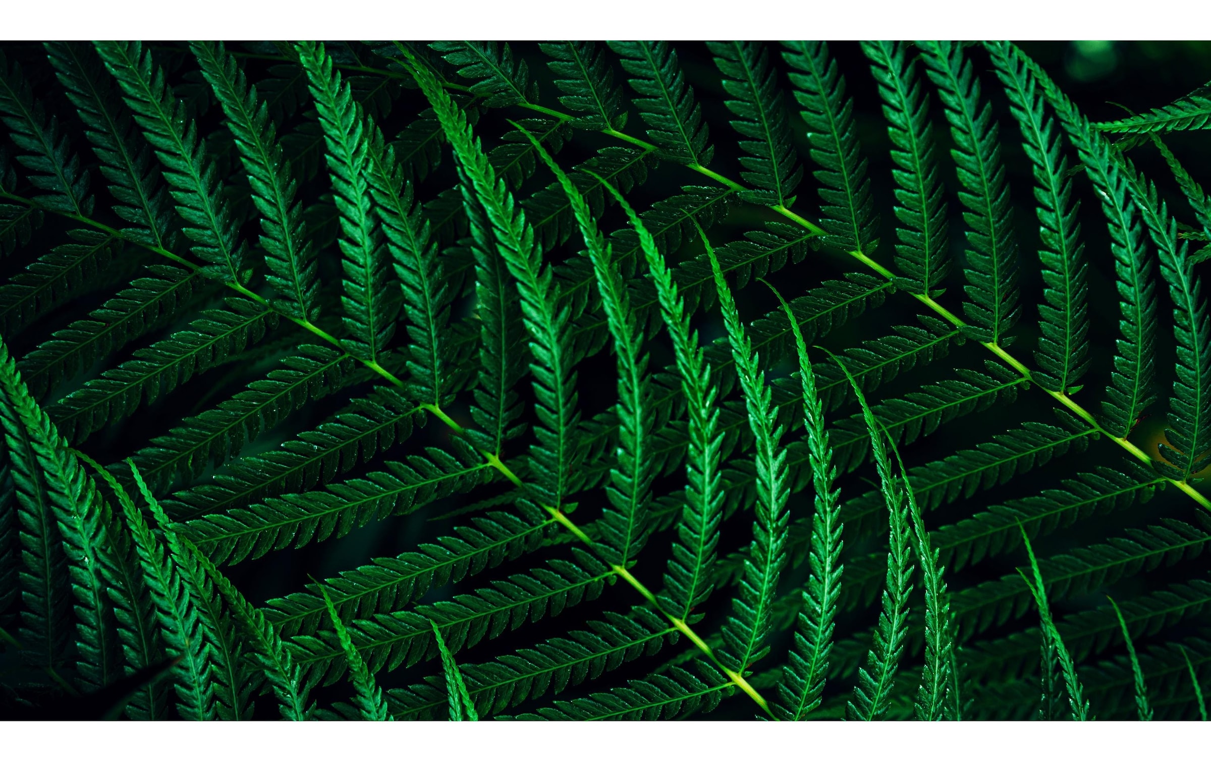 Philips LCD-Monitor »27B2G5601/00« 68,31 cm/27 ″  2560 x 1440 px WQHD 4 Reaktionszeit 100 Hz