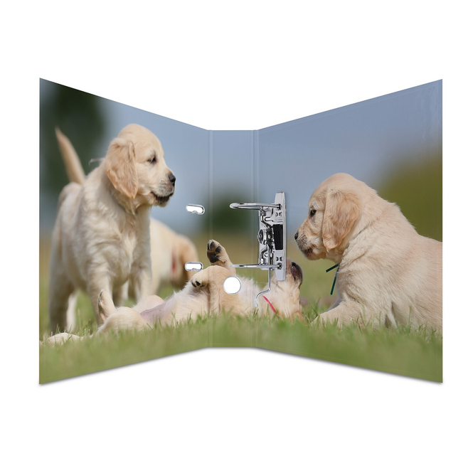 Ordner DIN A4 - Herma - Hunde