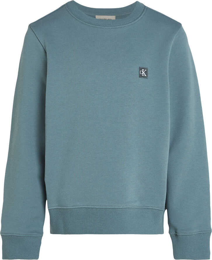 Calvin Klein MONO MINI BADGE REG CN North atlantic