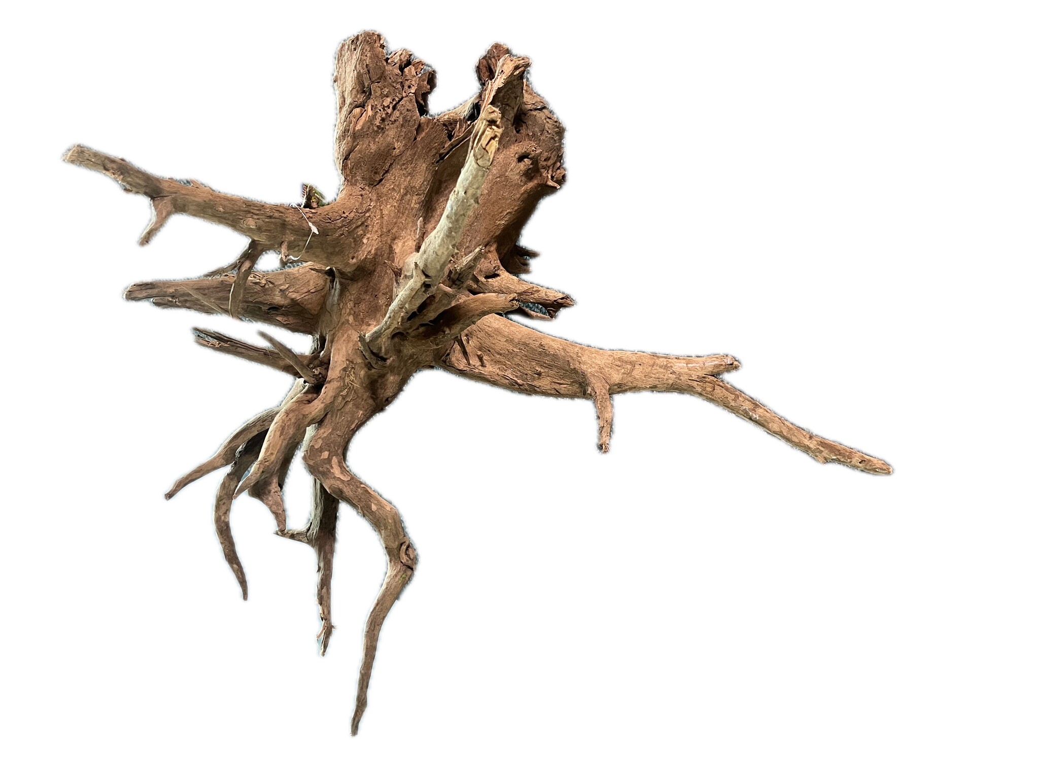 HS Aqua CORBO-ROOT XL 55-80 cm