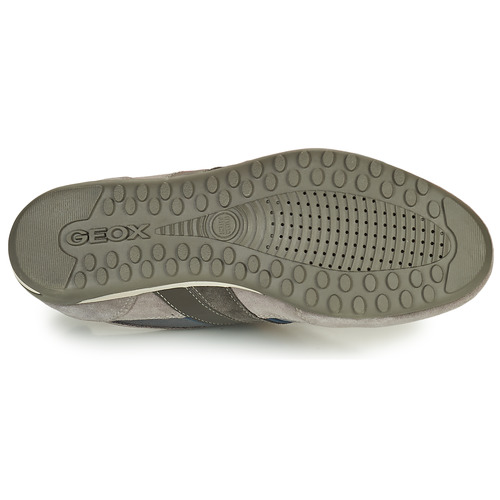 Geox - U WELLS C - Gris