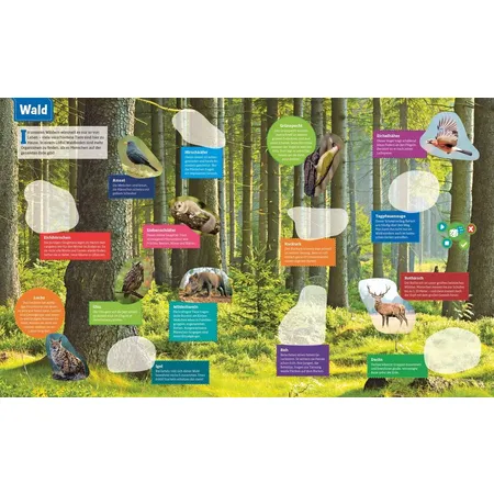 BOOKii® Was ist was - Stickeratlas: Tiere aus aller Welt