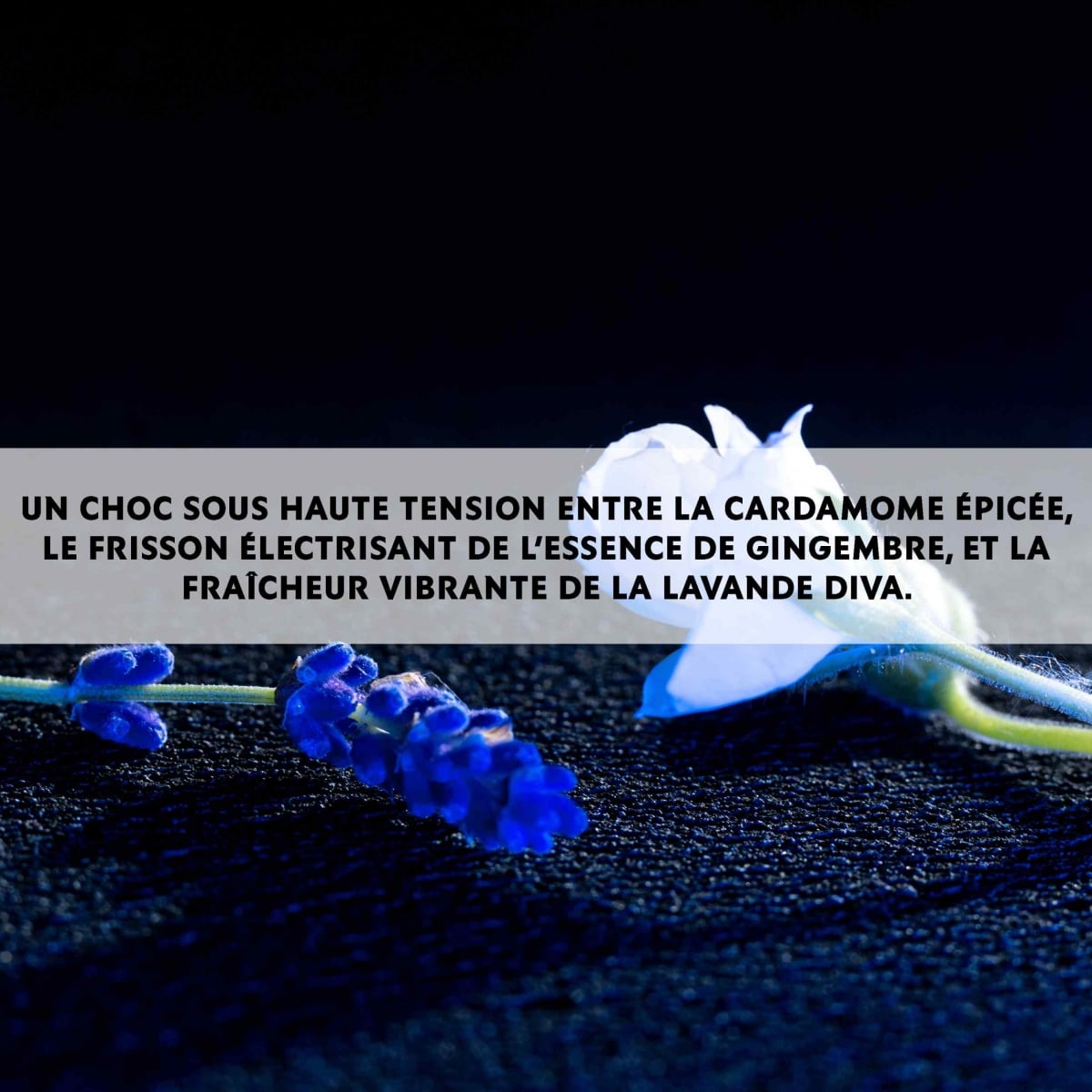 YVES SAINT LAURENT La Nuit de L'Homme Bleu Electrique Eau de Toilette Intense