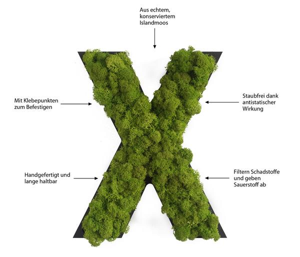 styleGREEN Buchstaben aus Islandmoos, ca. H25