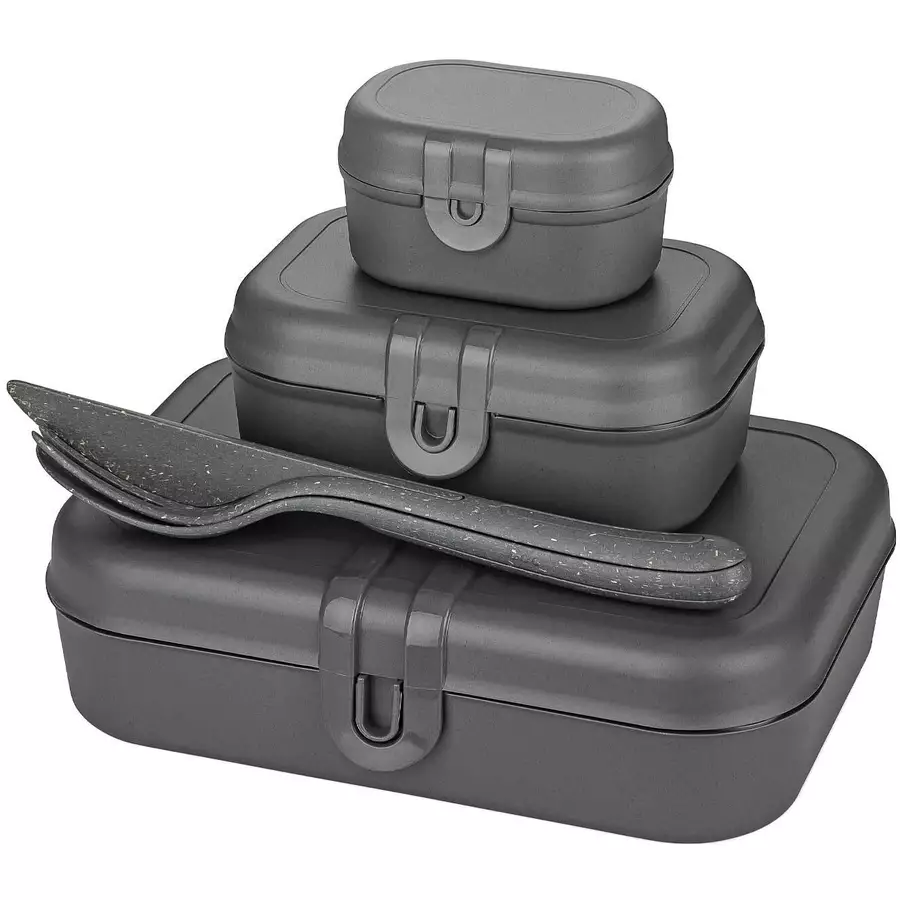 Koziol Lunchbox-Set inkl. Besteck Pascal Ready dunkelgrau