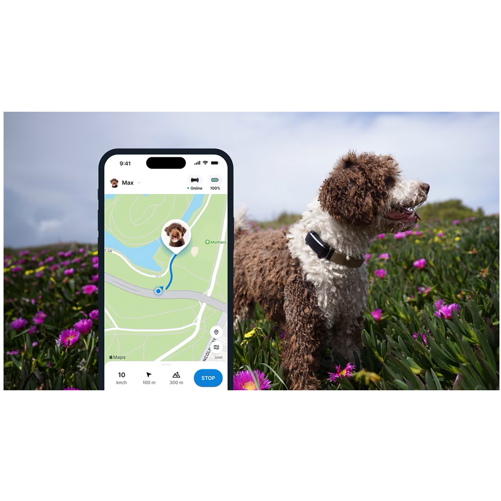 GPS DOG 6 Pet Tracker für Hunde mit Live Ortung und Aktivitäts Tracking iOS/Android (TRDOG6BK) - Schwarz