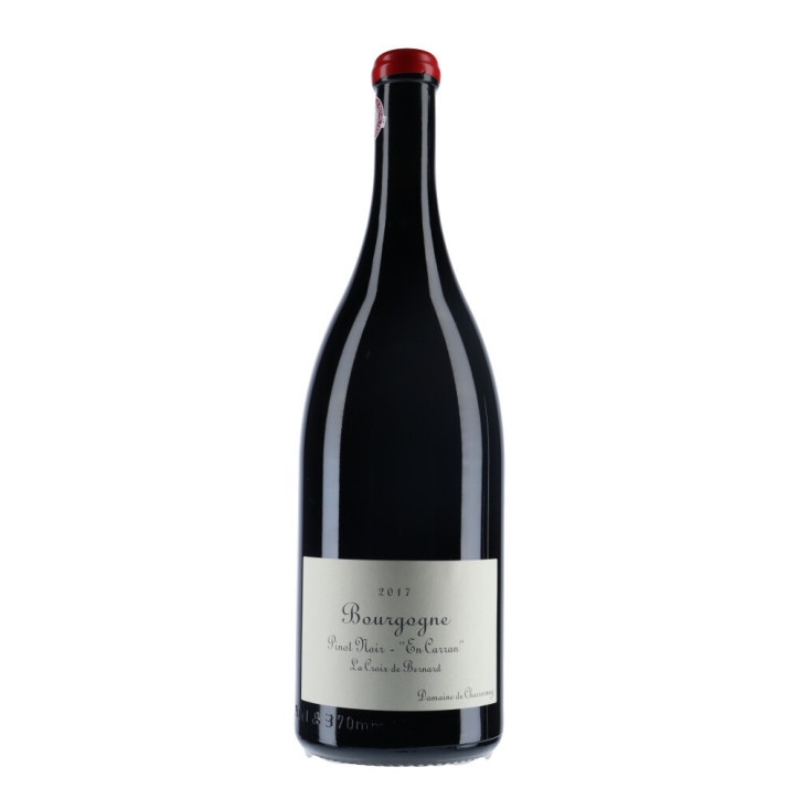 Domaine De Chassorney Bourgogne Pinot Noir 