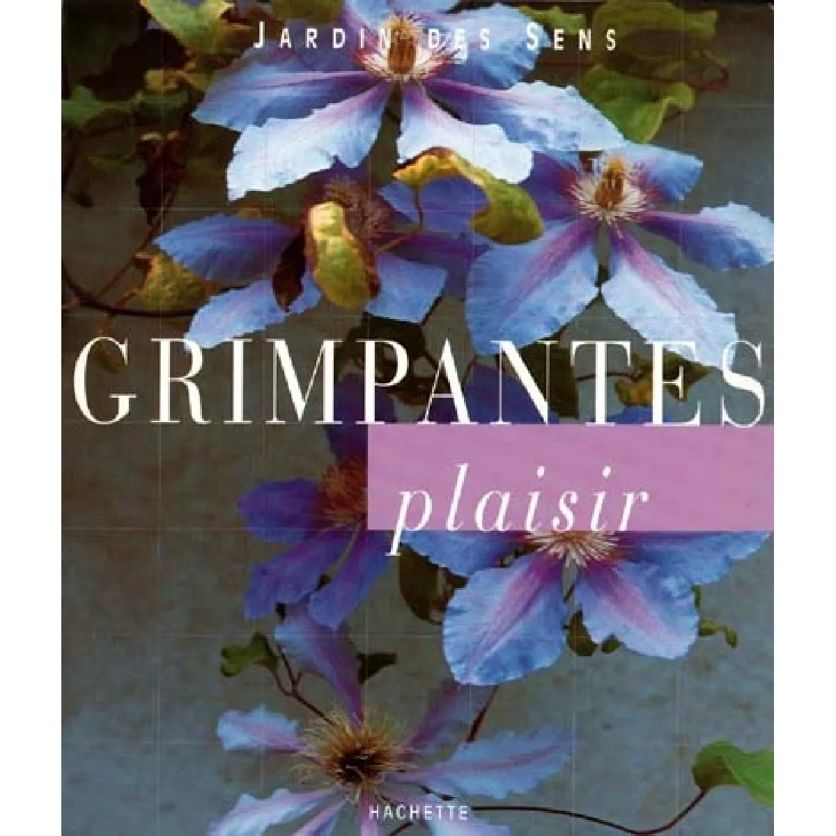 Grimpantes plaisir · Occasion