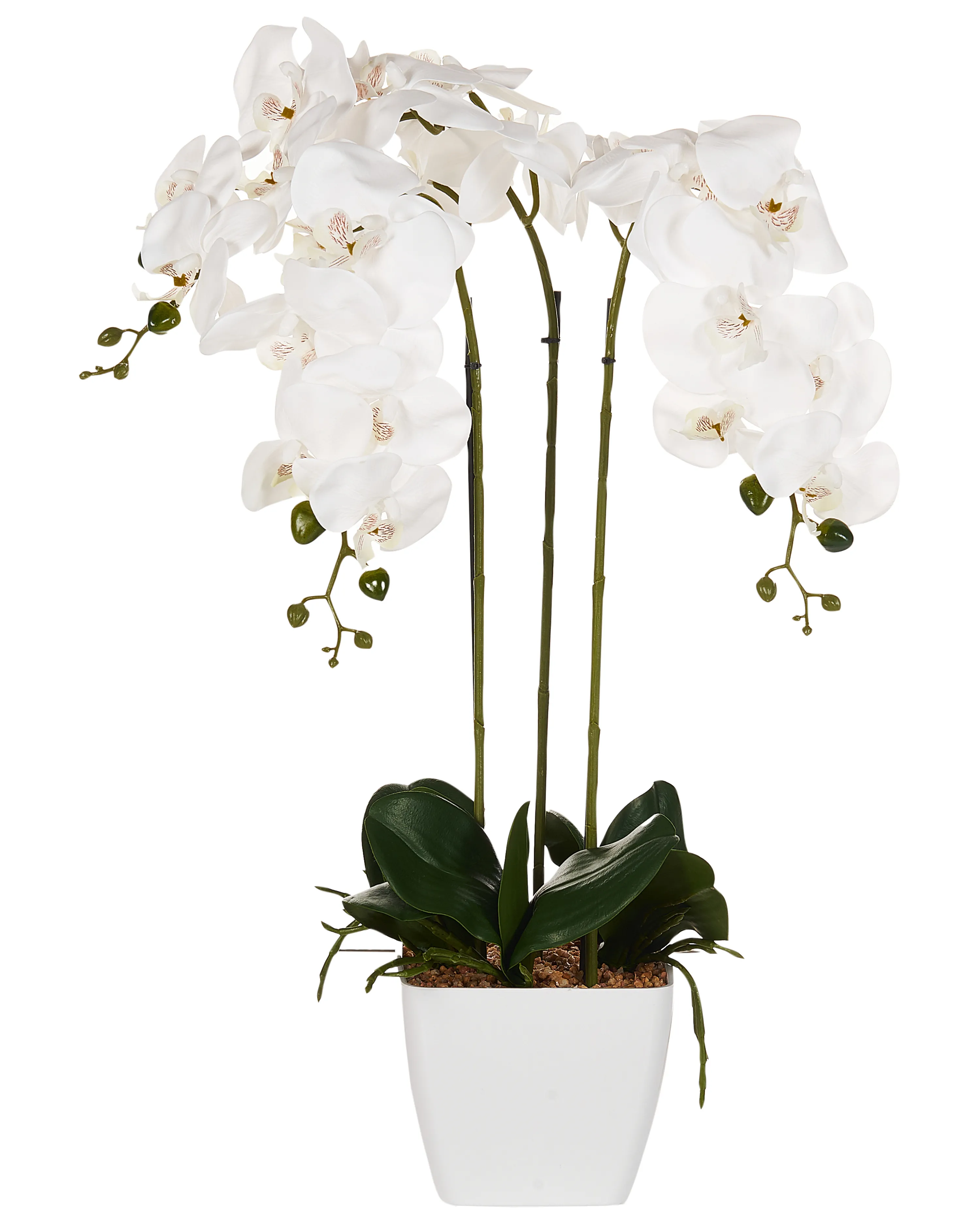 Kunstplant ORCHID 59 cm Wit