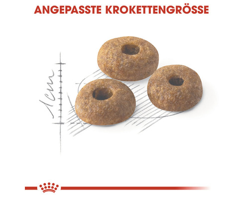 ROYAL CANIN Fit regular 32 droog kattenvoer, 10 kg