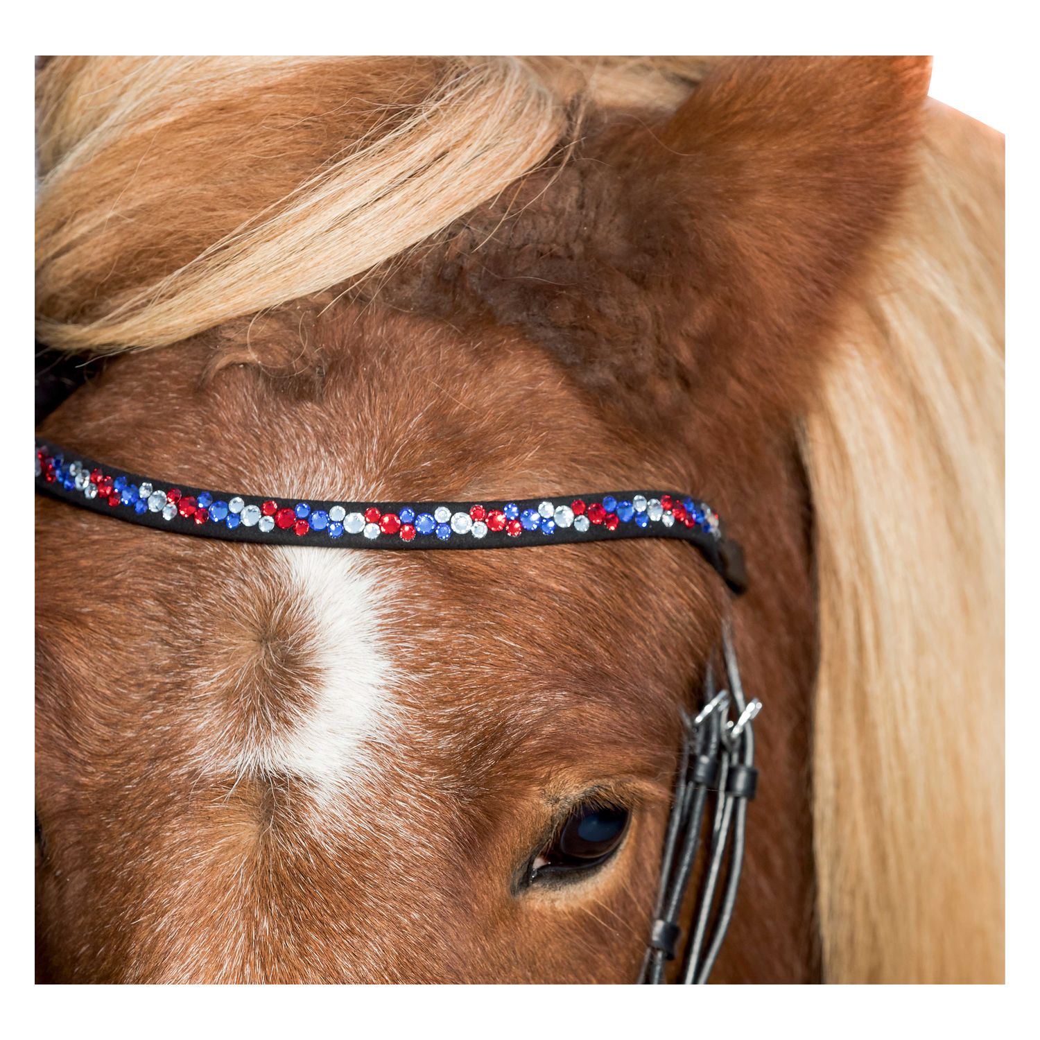 Loesdau Stirnband Flags - blau/weiß/rot - Warmblut