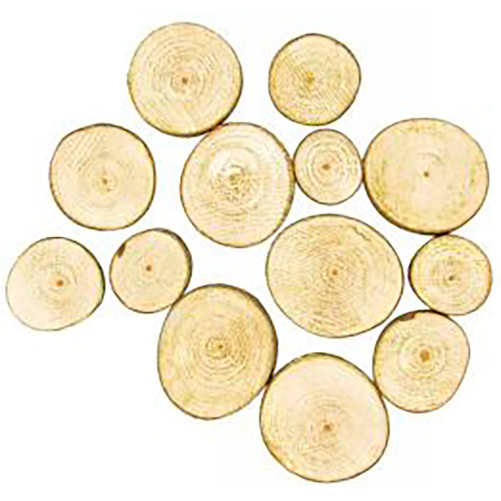 Lot de 10 tranches de bois rondes