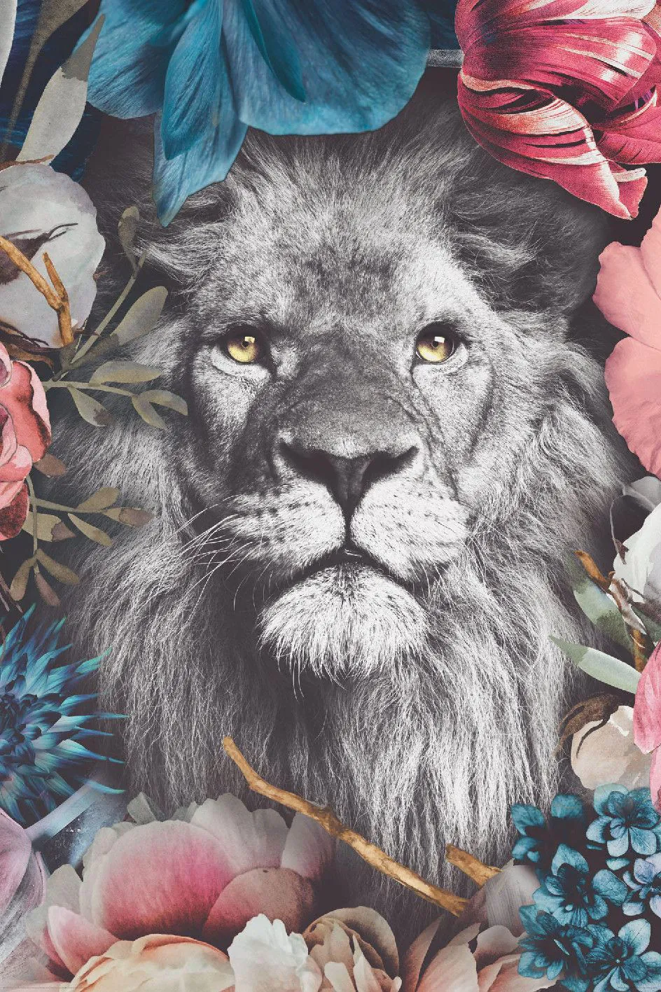 Poster Soft Lion, 61 x 91 cm