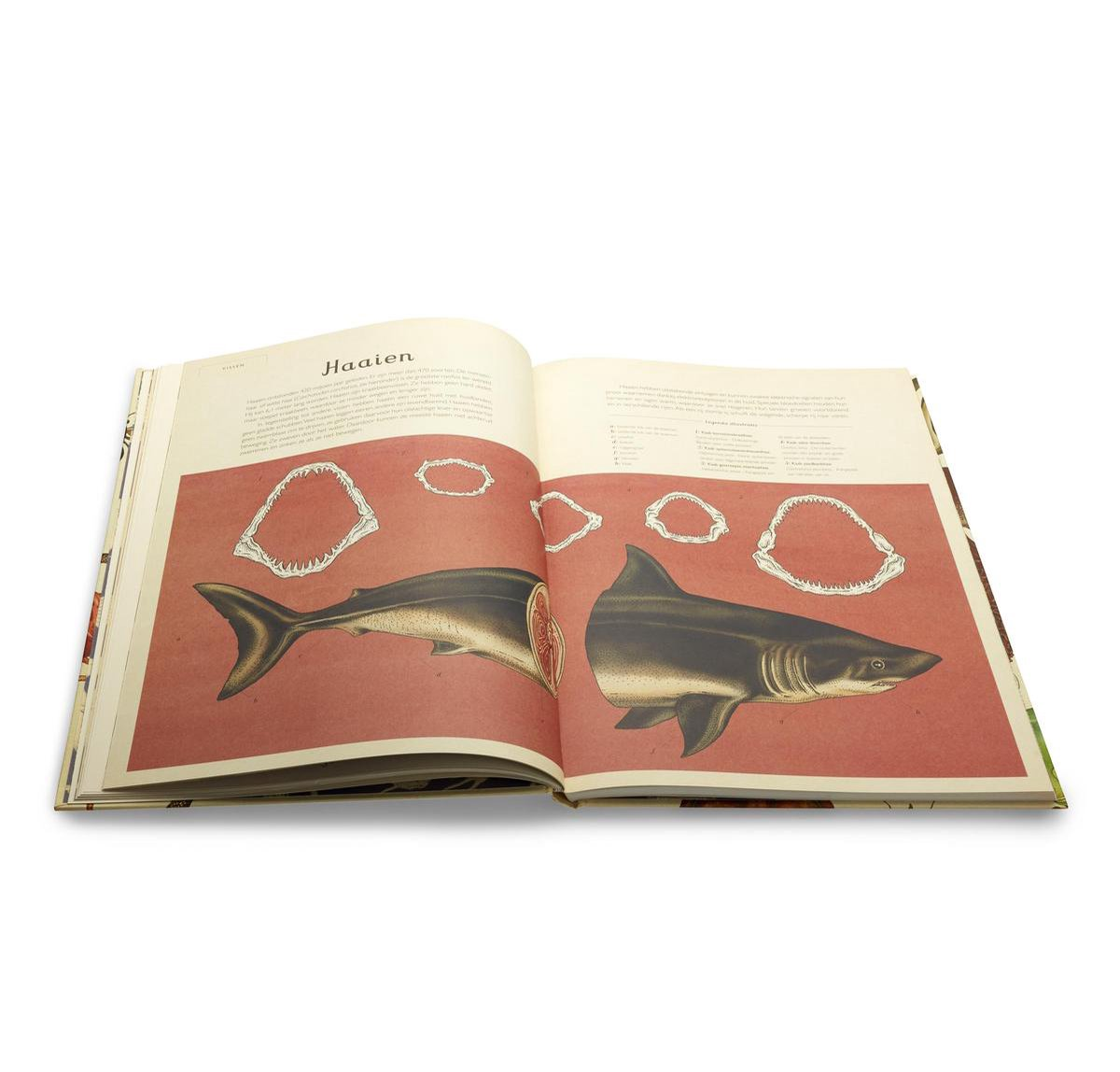 Het Dierenboek