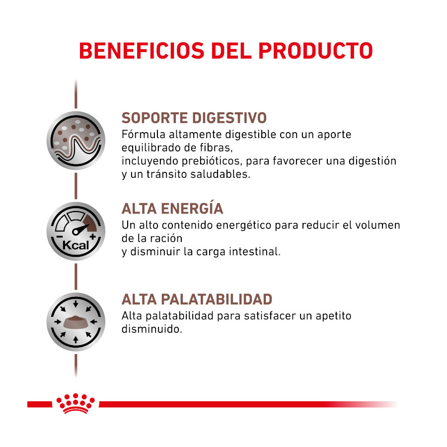 Ração veterinária Royal Canin para o trato gastrointestinal de gatos