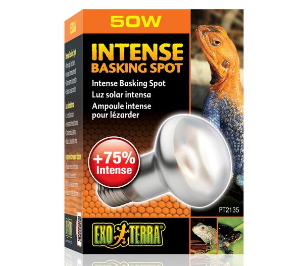 Exo Terra® Intense Basking Spot