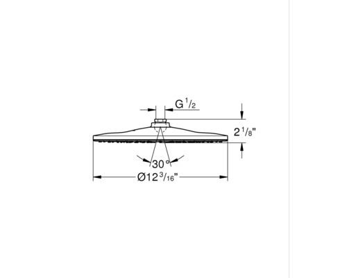 GROHE Rainshower Mono 310 EcoJoy 26562000 Ø 31 cm chromen douchekop