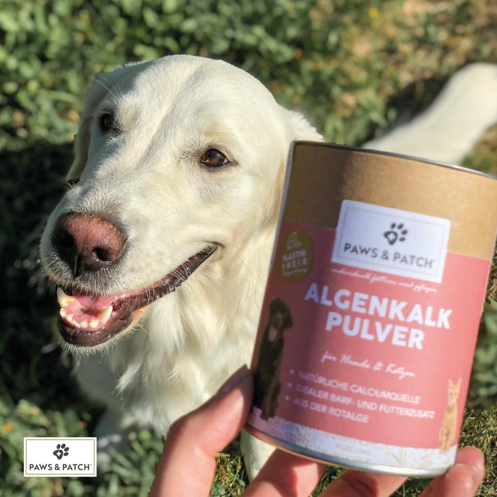 PAWS&PATCH ALGENKALK Pulver für Hunde und Katzen