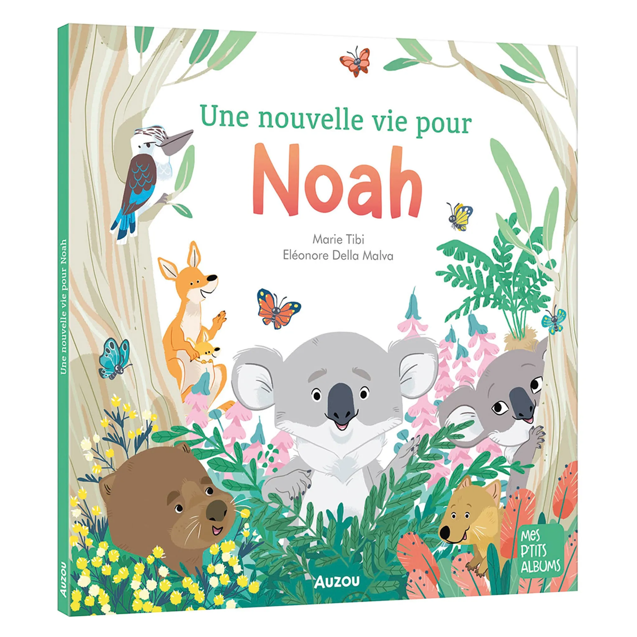 Auzou Une Nouvelle Vie Pour Noah