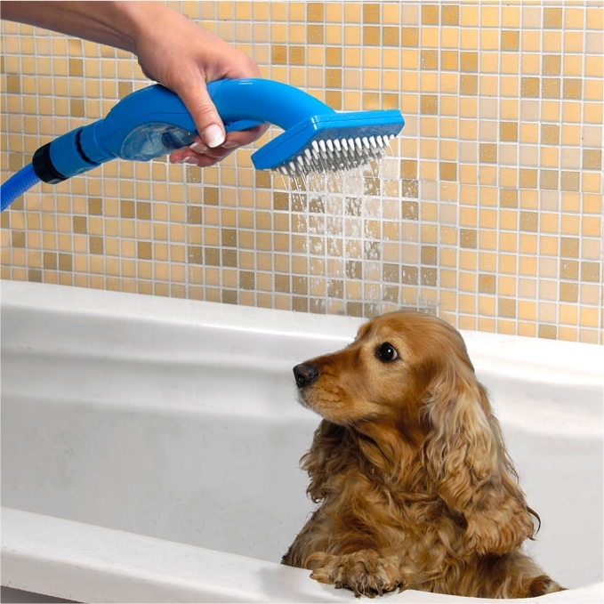 Brosse douche animaux